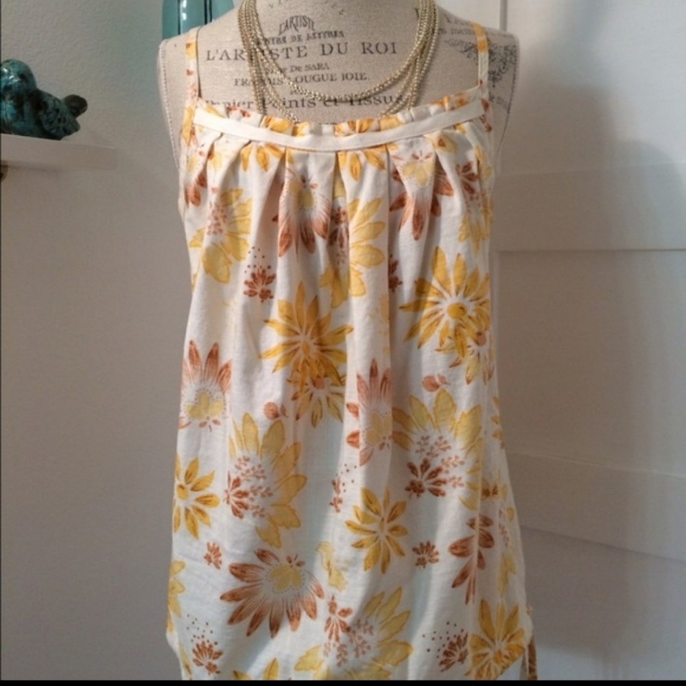 Gap Tank